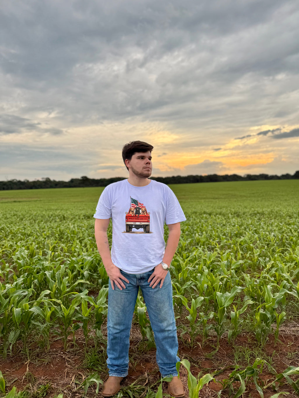 camiseta 100% algodão caminhonete americana